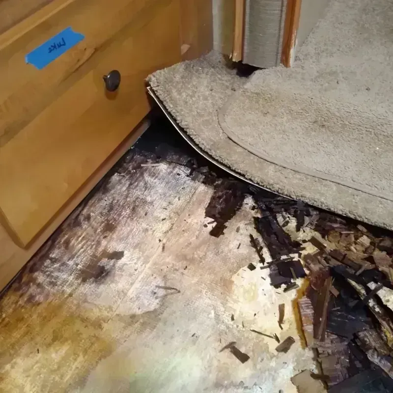 Wood Floor Water Damage in Destin, FL